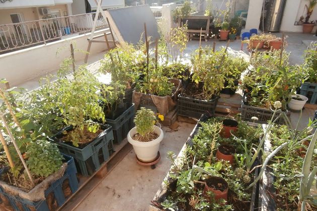 ΤΑΡΑΤΣΑ -ΟΜΑΔΑ ΣΕ ΜΕΤΑΒΑΣΗ