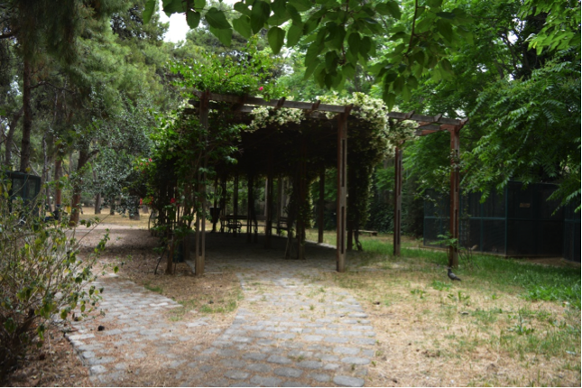 Δημοτικό Άλσος Χωροφυλακής